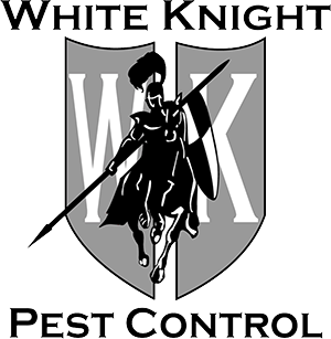 Pest Control Reviews